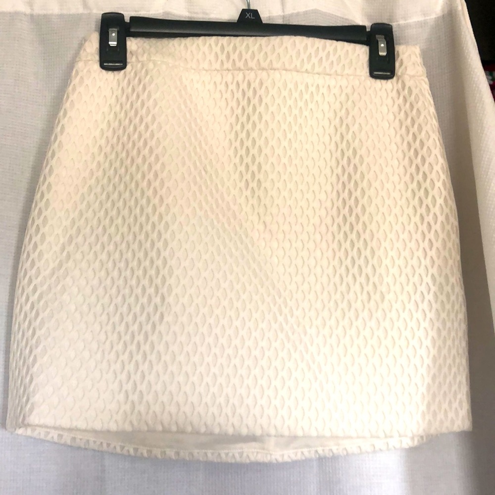 Express skirt